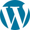 Custom WordPress Theme Design Icon
