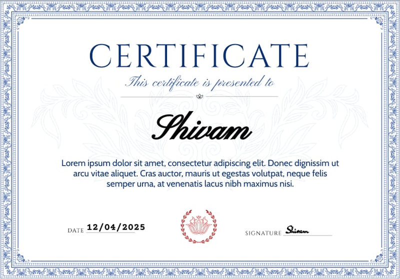 Rankoptim Master Certificate